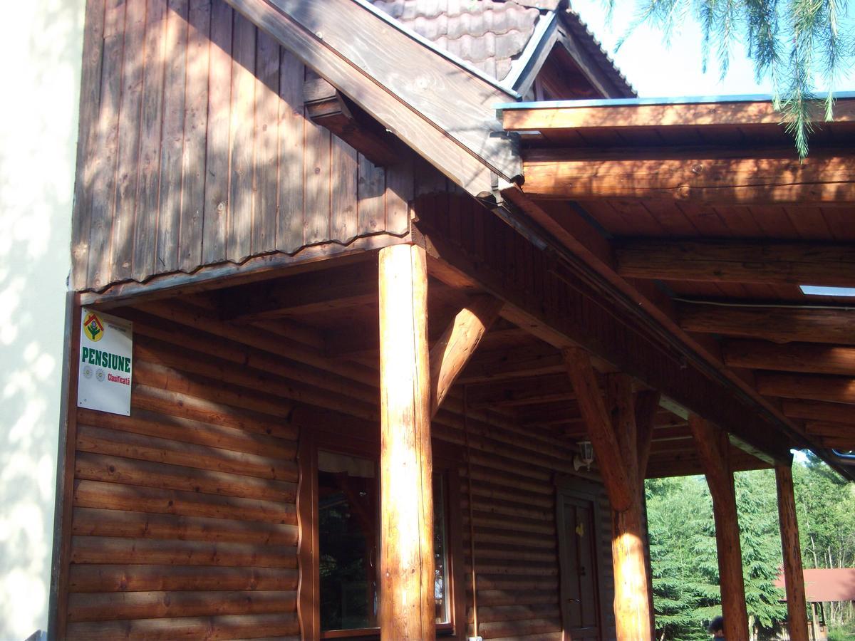 Villa Any Kulcsosház Sicasău Exterior foto
